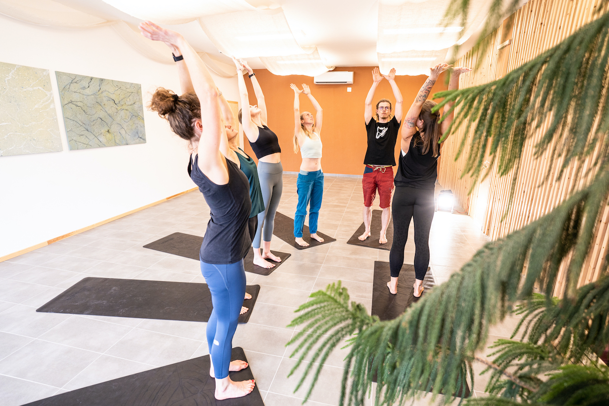 ST: Yoga Sangraha 10. 12. - 10. 12. 2025 17:45 - 19:00